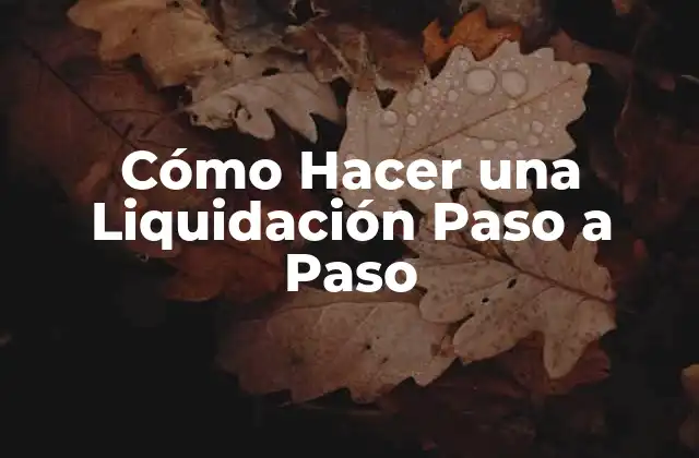 Cómo Hacer una Liquidación Paso a Paso
