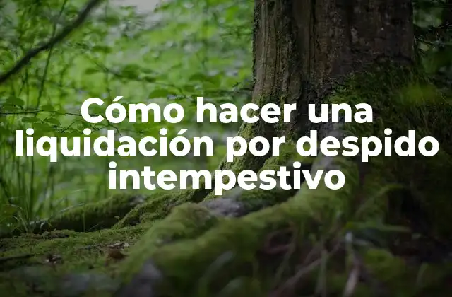 Cómo Hacer una Liquidación por Despido Intempestivo