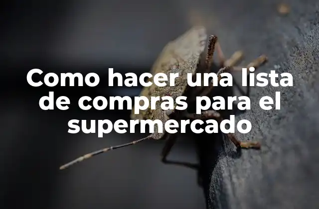 Como Hacer una Lista de Compras para el Supermercado