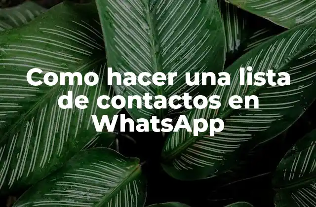 Como Hacer una Lista de Contactos en Whatsapp