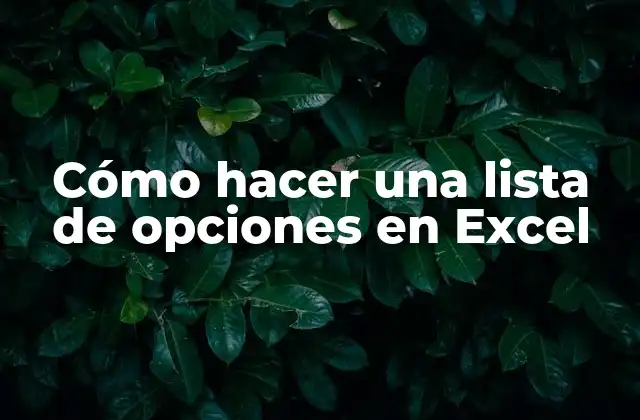 Cómo Hacer una Lista de Opciones en Excel