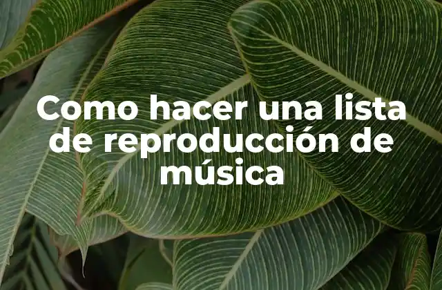 Como Hacer una Lista de Reproducción de Música