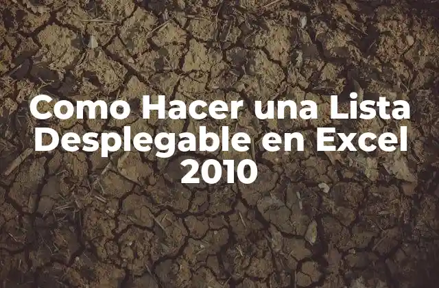 Como Hacer una Lista Desplegable en Excel 2010