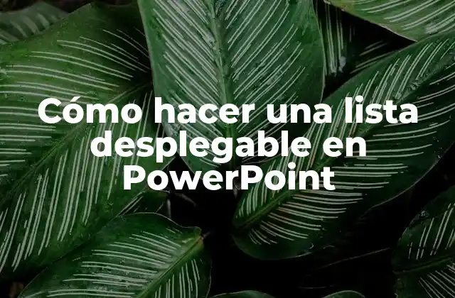 ¿Qué es una lista desplegable en PowerPoint?