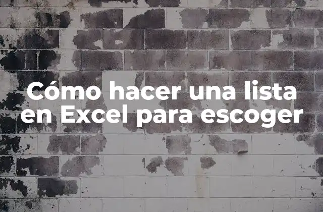 Cómo Hacer una Lista en Excel para Escoger