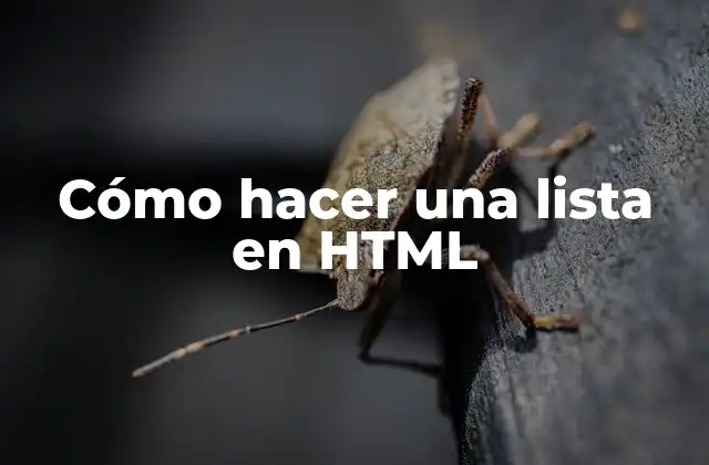 Cómo Hacer una Lista en Html 2 Cómo hacer una lista en HTML