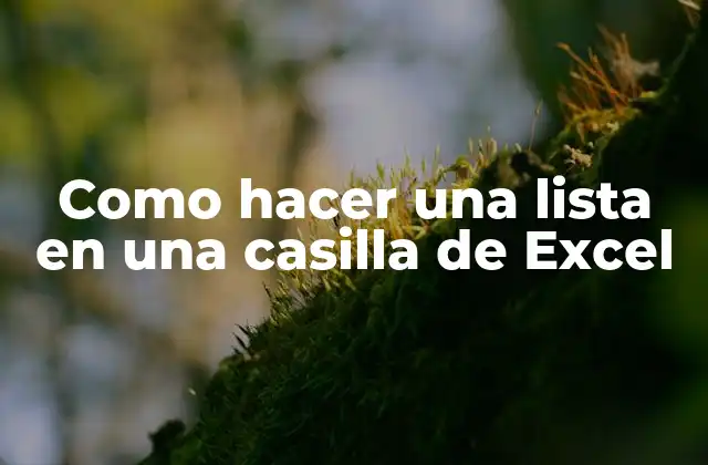 Como Hacer una Lista en una Casilla de Excel