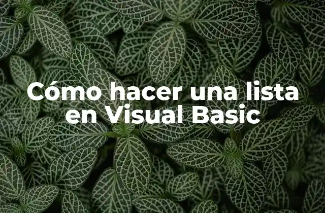 Cómo Hacer una Lista en Visual Basic 2 ¿Qué es una lista en Visual Basic?