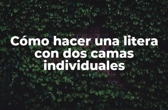 Cómo Hacer una Litera con Dos Camas Individuales