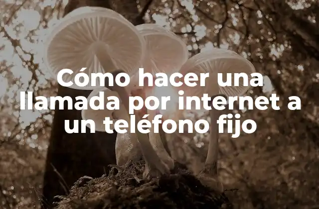 Cómo Hacer una Llamada por Internet a un Teléfono Fijo