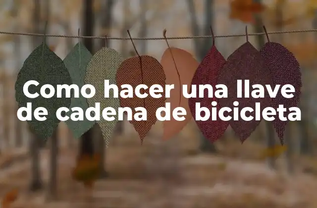 Como Hacer una Llave de Cadena de Bicicleta