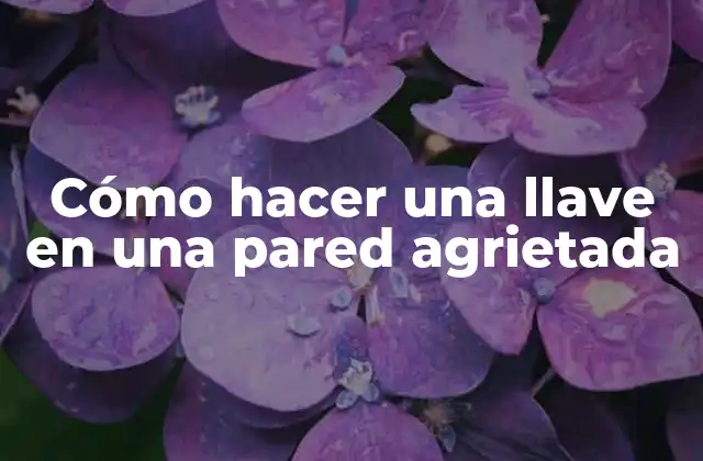 Cómo Hacer una Llave en una Pared Agrietada