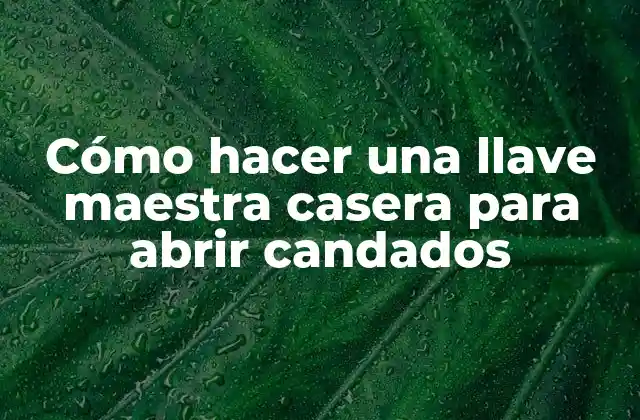 Cómo Hacer una Llave Maestra Casera para Abrir Candados 2 Cómo hacer una llave maestra casera para abrir candados