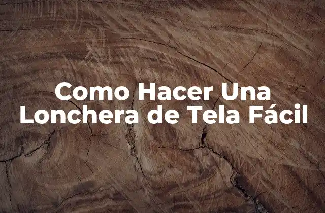 Como Hacer una Lonchera de Tela Fácil