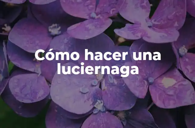 Cómo Hacer una Luciernaga