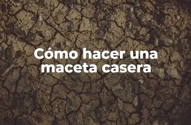Cómo Hacer una Maceta Casera