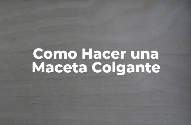 ¿Qué es una Maceta Colgante y para qué Sirve?