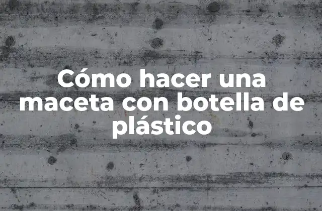 Cómo Hacer una Maceta con Botella de Plástico