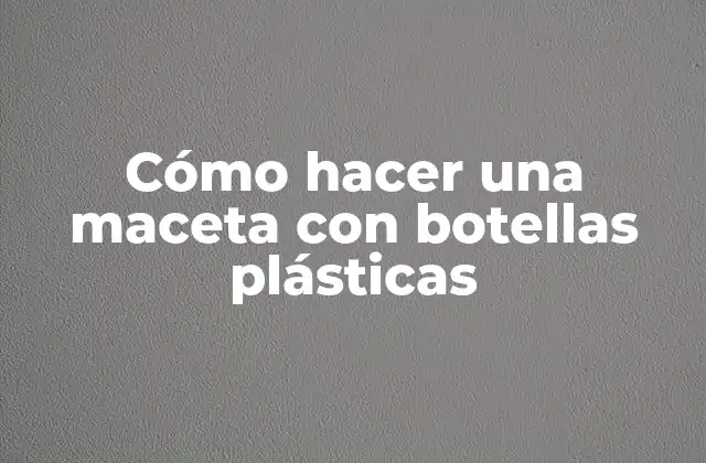 Cómo Hacer una Maceta con Botellas Plásticas