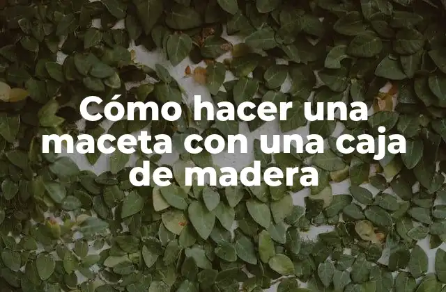 Cómo Hacer una Maceta con una Caja de Madera
