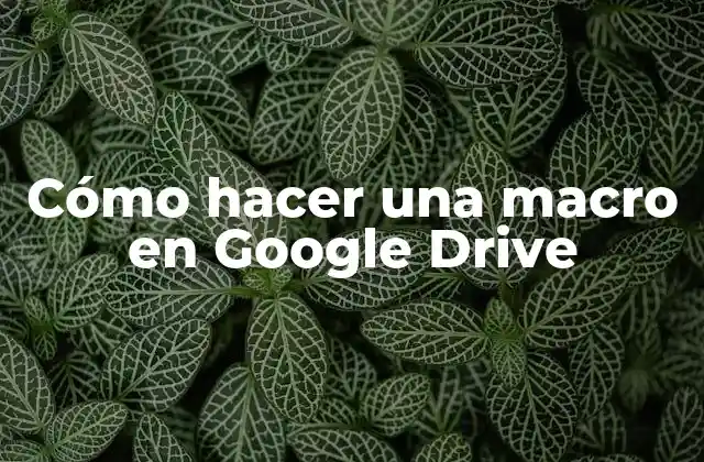 ¿Qué es una macro en Google Drive y para qué sirve?