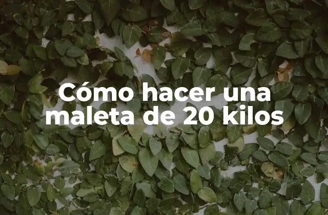 Cómo Hacer una Maleta de 20 Kilos