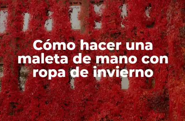 Cómo Hacer una Maleta de Mano con Ropa de Invierno