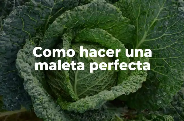 ¿Qué es una Maleta Perfecta?
