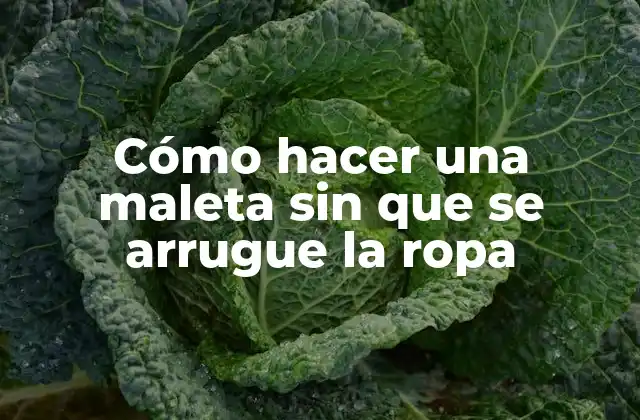 Cómo Hacer una Maleta sin que Se Arrugue la Ropa