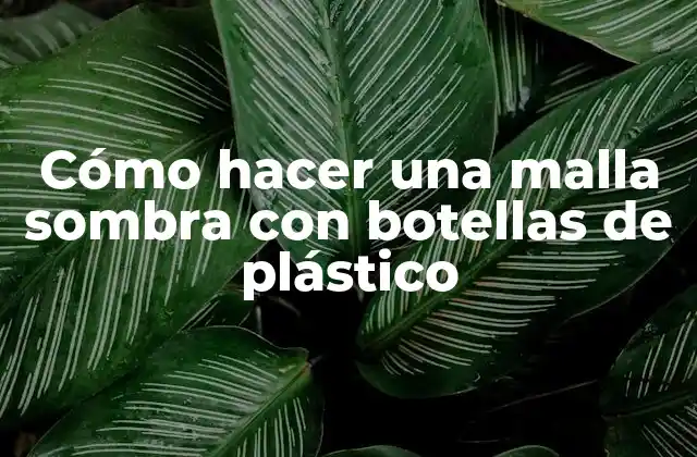 Cómo Hacer una Malla Sombra con Botellas de Plástico 2 Cómo hacer una malla sombra con botellas de plástico
