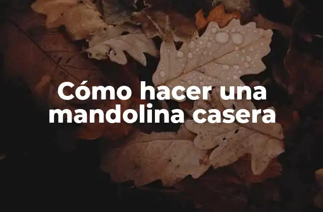 Cómo Hacer una Mandolina Casera