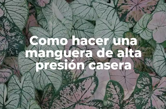 Como Hacer una Manguera de Alta Presión Casera