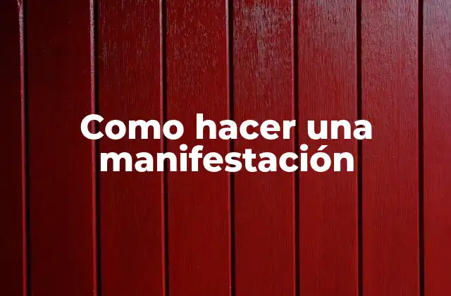 Como Hacer una Manifestación