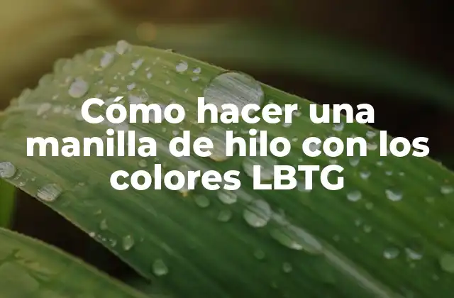 Cómo Hacer una Manilla de Hilo con los Colores Lbtg
