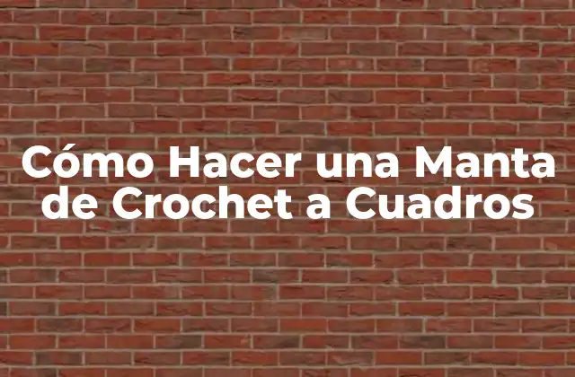 Cómo Hacer una Manta de Crochet a Cuadros