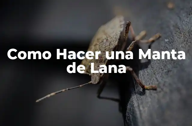 Como Hacer una Manta de Lana