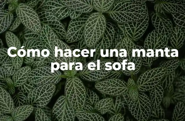 Cómo Hacer una Manta para el Sofa