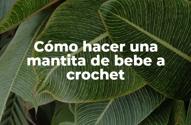 Cómo Hacer una Mantita de Bebe a Crochet
