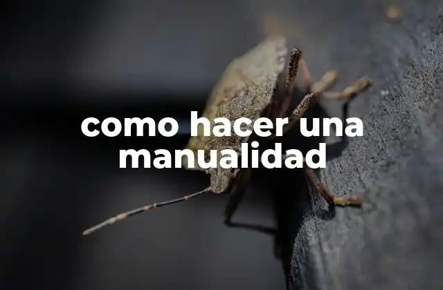 Como Hacer una Manualidad