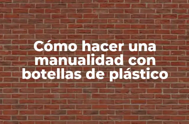 Cómo hacer una manualidad con botellas de plástico