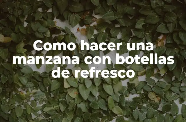 Como Hacer una Manzana con Botellas de Refresco