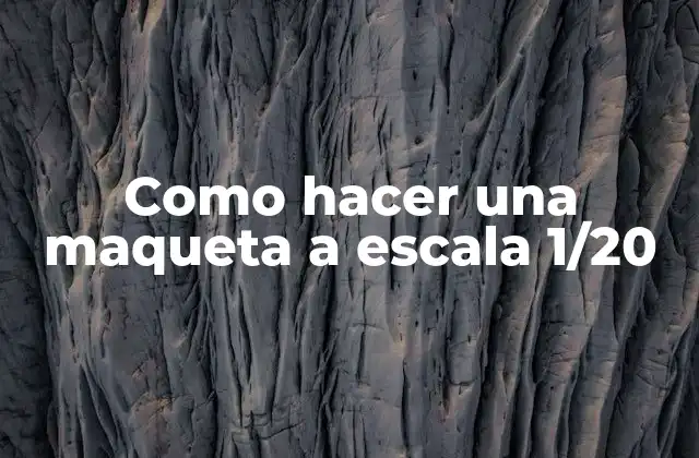 Como Hacer una Maqueta a Escala 1/20