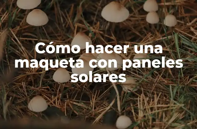 Cómo Hacer una Maqueta con Paneles Solares
