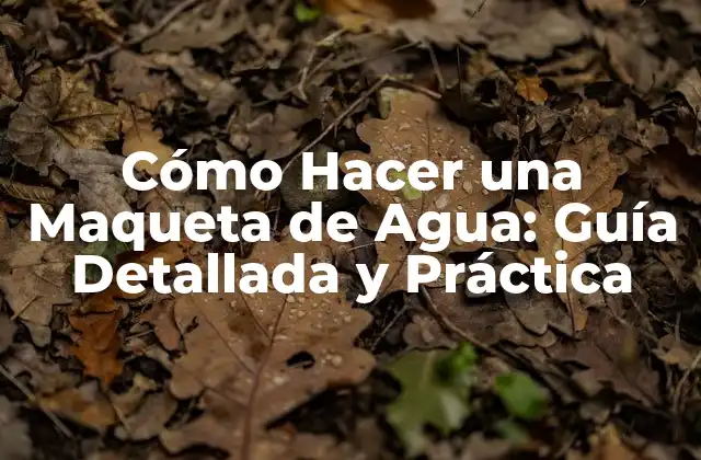 Cómo Hacer una Maqueta de Agua: Guía Detallada y Práctica