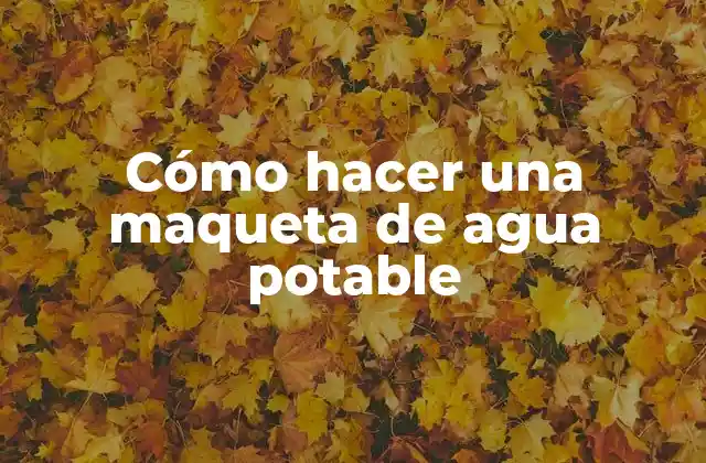 Cómo Hacer una Maqueta de Agua Potable