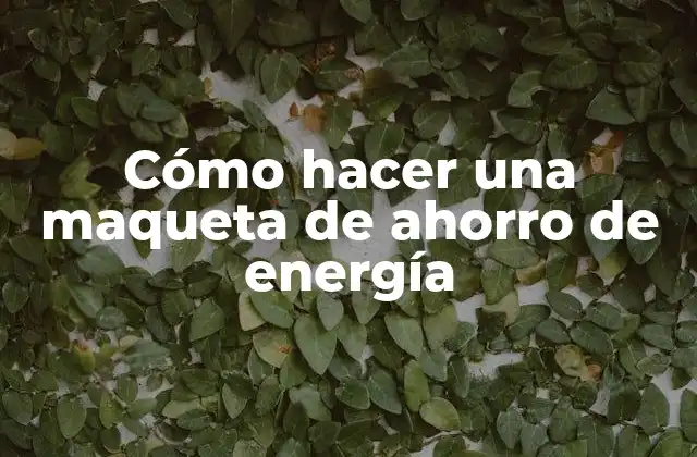Cómo Hacer una Maqueta de Ahorro de Energía