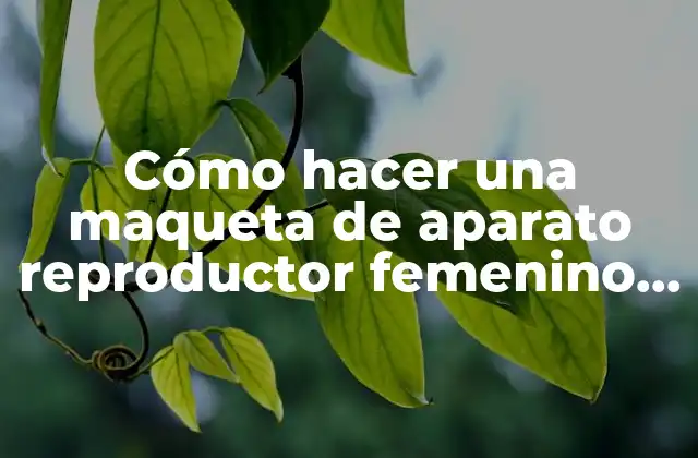 Cómo Hacer una Maqueta de Aparato Reproductor Femenino y Masculino