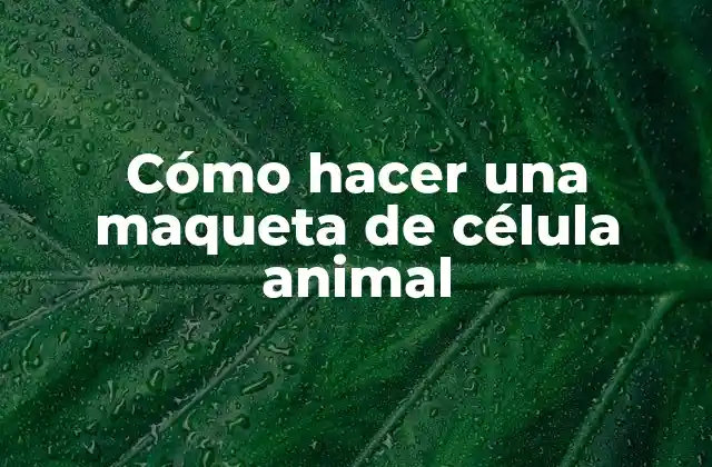 Cómo Hacer una Maqueta de Célula Animal