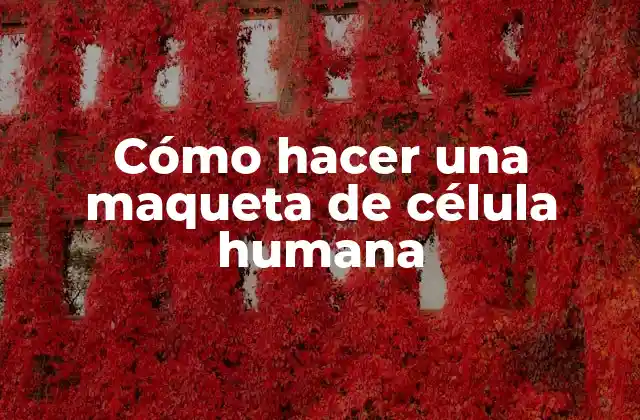 Cómo Hacer una Maqueta de Célula Humana