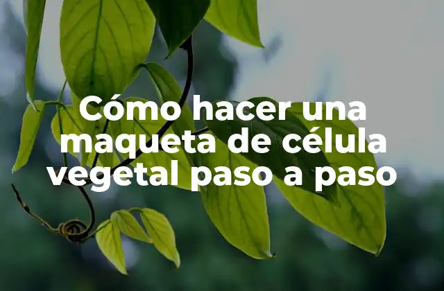Cómo Hacer una Maqueta de Célula Vegetal Paso a Paso